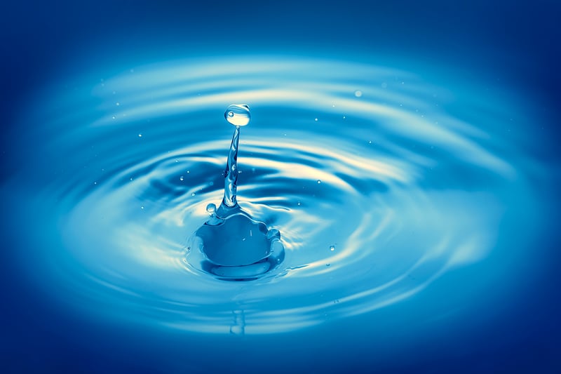 Ripple Forecast
